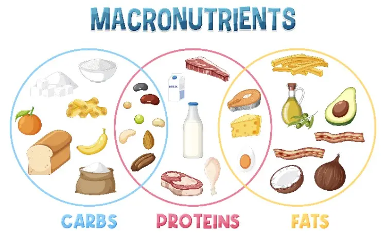 Spotting Lactose in Foods