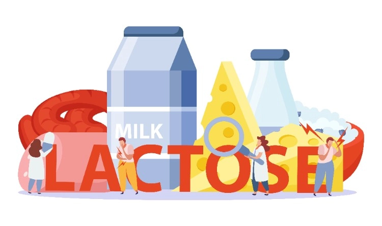What Exactly Is Lactose?