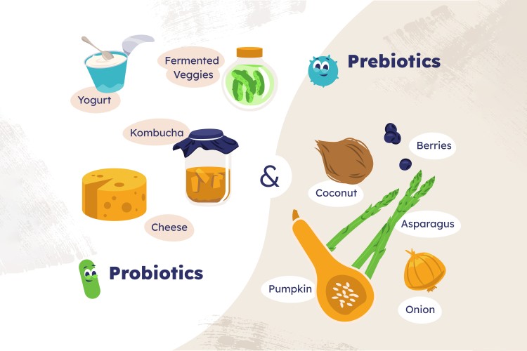 Prebiotics vs Probiotics: What You Must Know Prebiotics vs Probiotics: What You Must Know