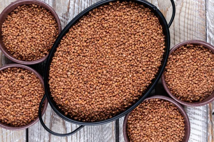 Bangkitnya Sumber Berkelanjutan: Sorghum Caudatum Bangkitnya Sumber Berkelanjutan: Sorghum Caudatum