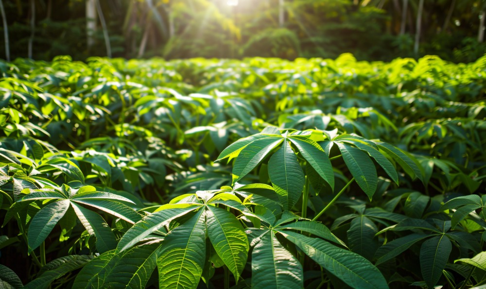 مقارنتها بالألياف الأخرى