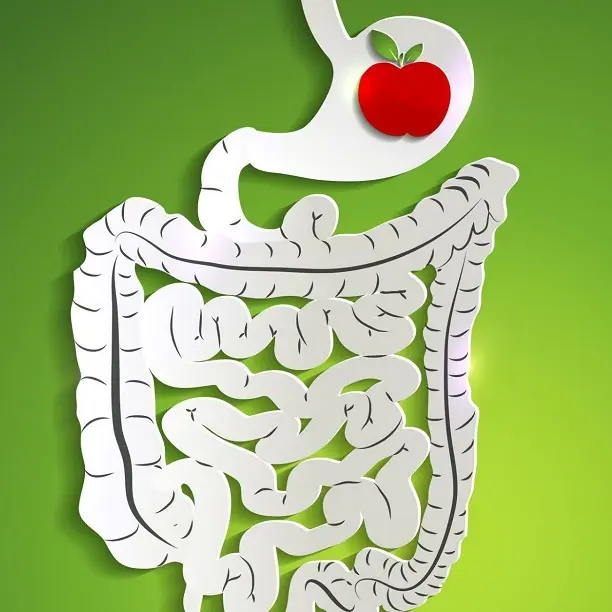 Improve the health of large intestine Improve the health of large intestine