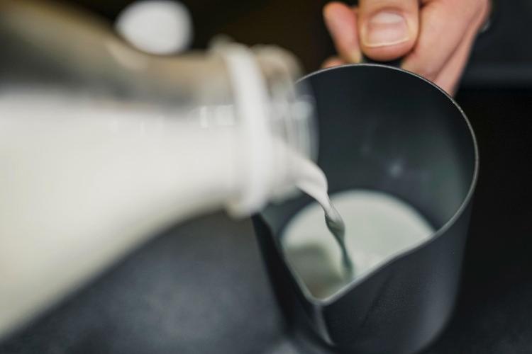 الوجبات السريعة السريعة