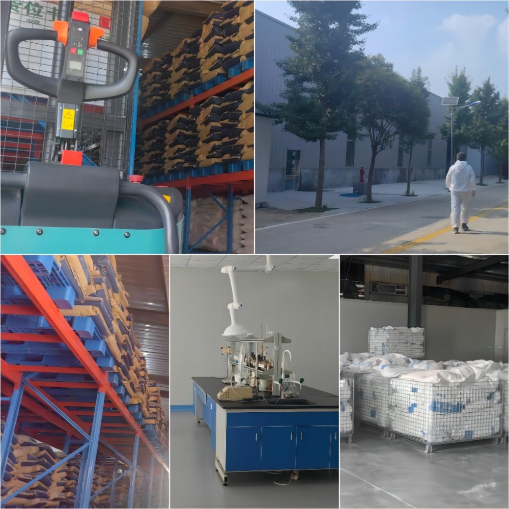 تألق النبات الصحي