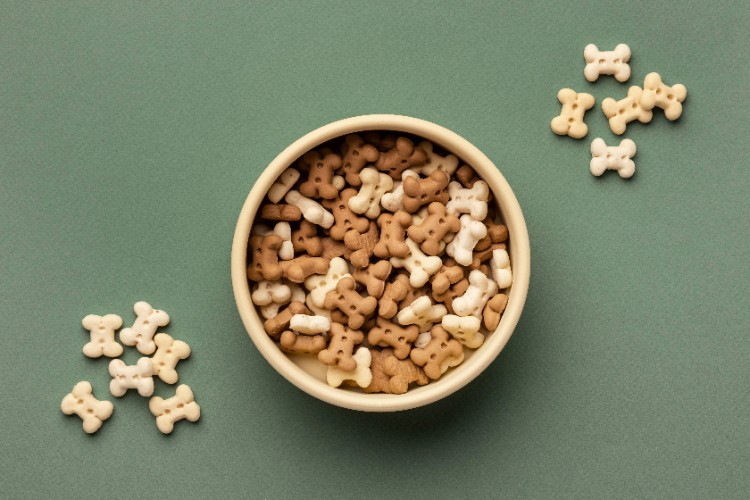 لماذا يحتاج كلبك إلى FOS الآن