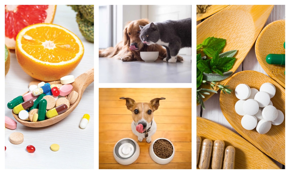 مسحوق المنظمة البحرية الدولية-90