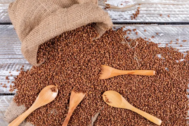 Trik Manfaat Lingkungan dari PKS Berasal Sorgum Trik Manfaat Lingkungan dari PKS Berasal Sorgum