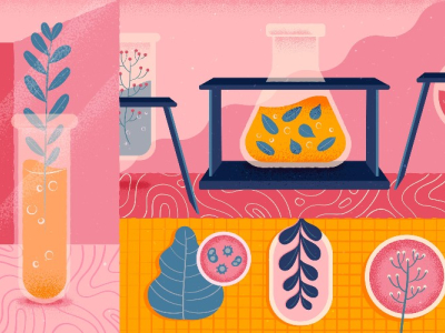 ستيرات المغنيسيوم من الصين: الفوائد والاستخدامات