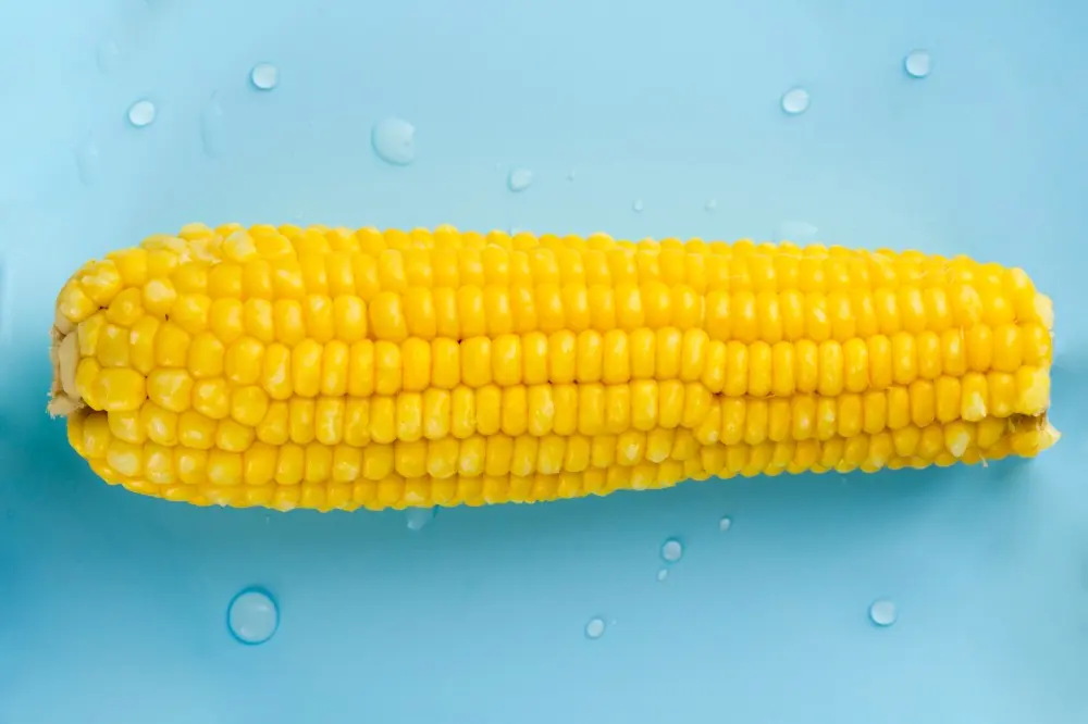 Những lợi ích của nước ngô Những lợi ích của nước ngô