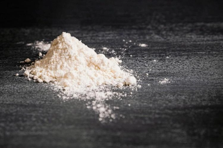 フラクトオリゴ糖: 腸の健康における重要な役割