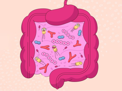 Fibre polydextrose: le héros méconnu de la nutrition moderne