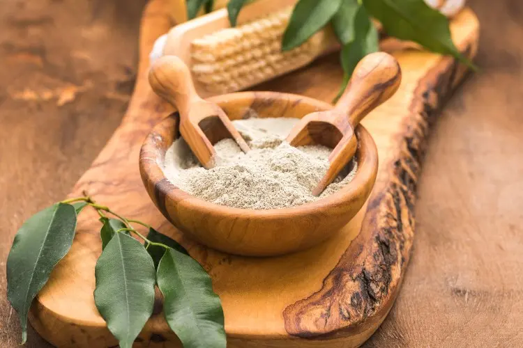 O Poder Secreto da Fibra de Tapioca O Poder Secreto da Fibra de Tapioca