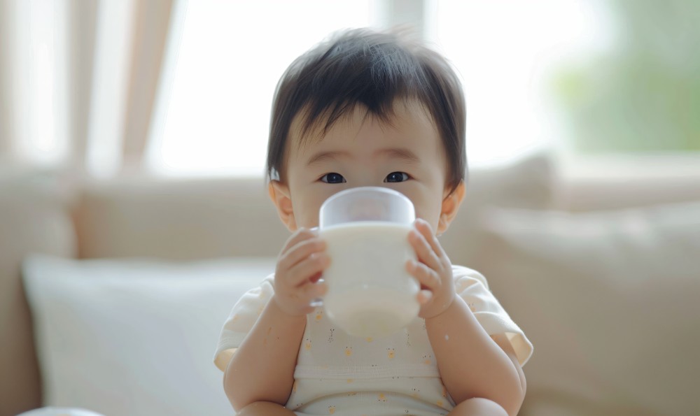 Poudre de polydextrose : un choix populaire dans les aliments transformés