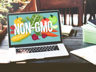 لماذا يعد الدكسترين المقاوم للكائنات المعدلة وراثيًا بمثابة تغيير في صحة الأمعاء؟