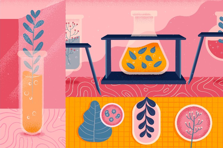 ستيرات المغنيسيوم من الصين الفوائد والاستخدامات