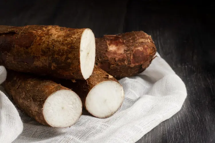 Why Organic Resistant Tapioca Dextrin is a Game-Changer