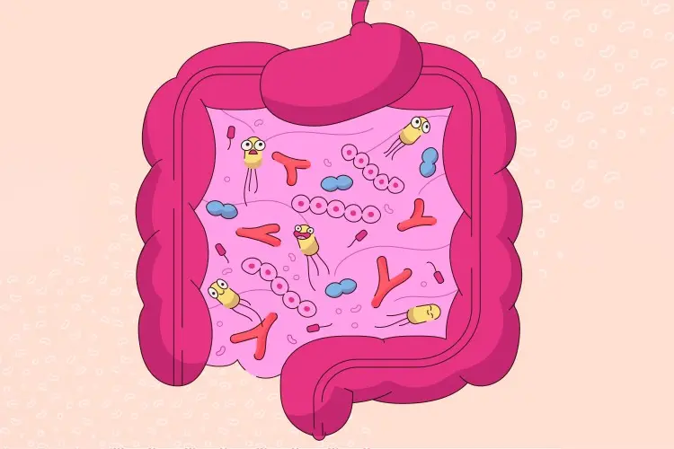 Sợi polydextrose: Người anh hùng không có dinh dưỡng hiện đại Sợi polydextrose: Người anh hùng không có dinh dưỡng hiện đại