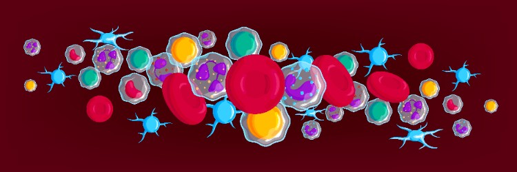 Where XOS Works: Human and Animal Applications