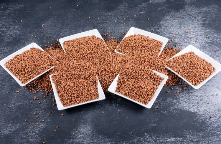 1731637907346025.jpg soba-mangkuk-pandangan-sudut-tinggi-dark_resized_750.jpg