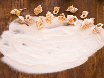 XOS مقابل FOS: أي الألياف هي الأفضل؟