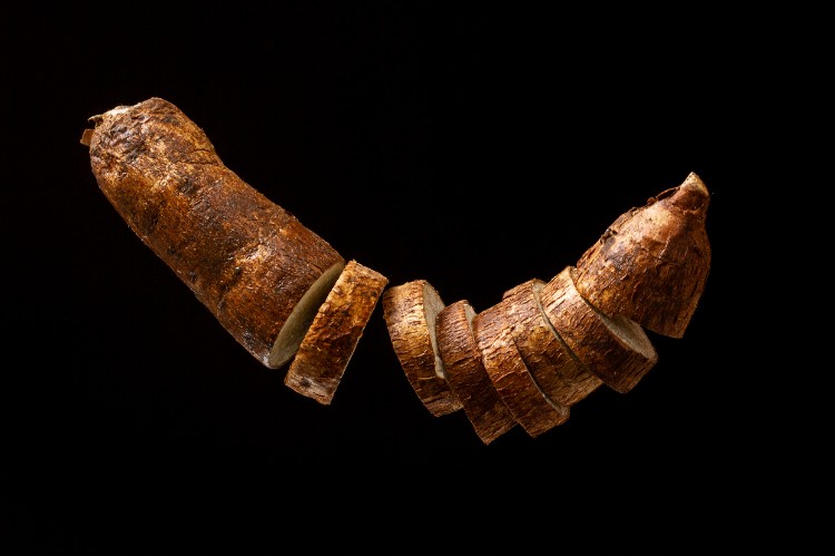 لماذا يجب عليك اختيار ألياف التابيوكا العضوية؟