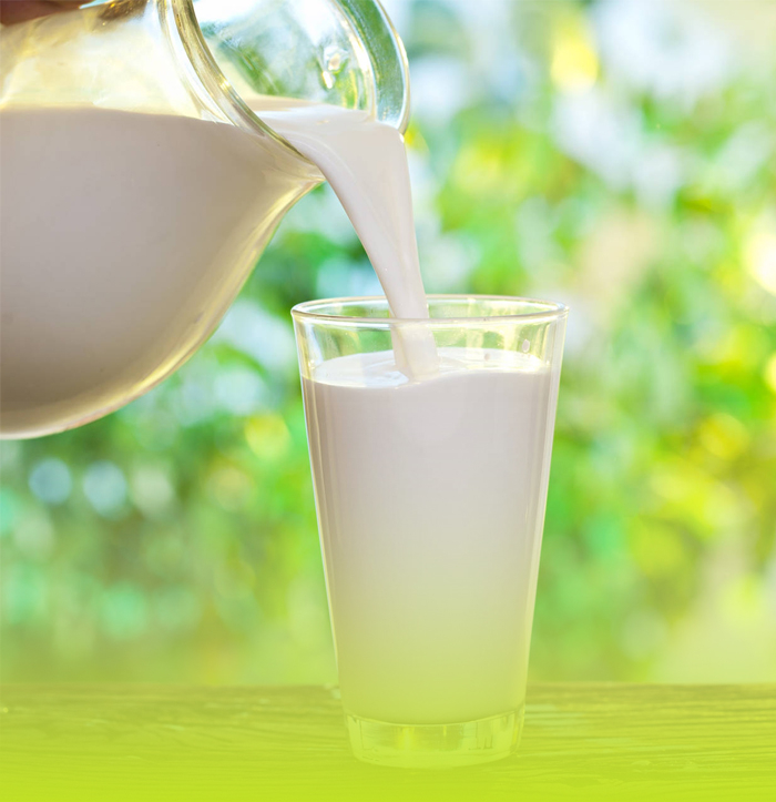 منتجات الألبان