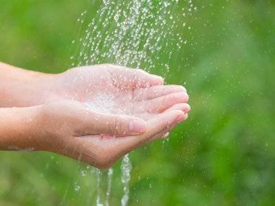 فركتو أوليجوساكاريد سر البشرة الصحية والمتوهجة