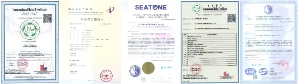 Patent certification