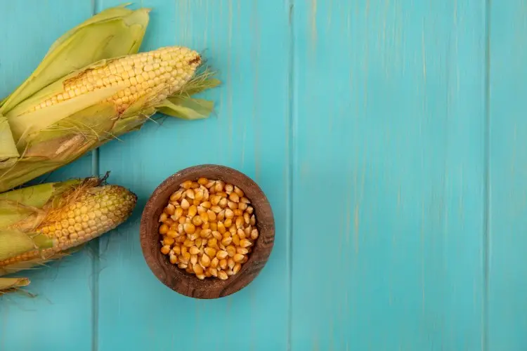 수용성 옥수수 섬유질: 저칼로리 건강 증진